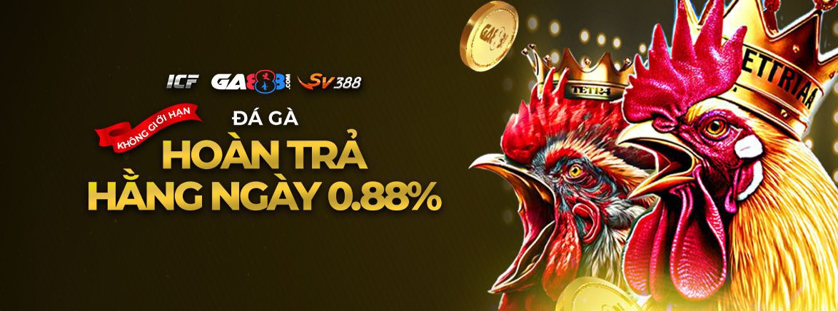 Đá Gà Hoàn trả hằng ngày 0.88% Đá Gà Hoàn trả hằng ngày 0.88%