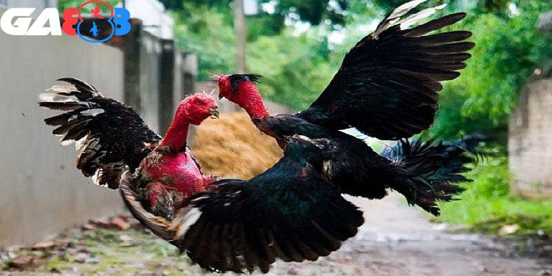 Để trở thành người thợ giỏi bạn cần phải có sự kiên trì và đam mê