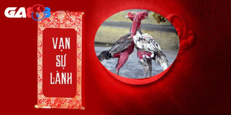 Ngày tốt theo lịch âm thuận lợi để gà phát huy sức mạnh