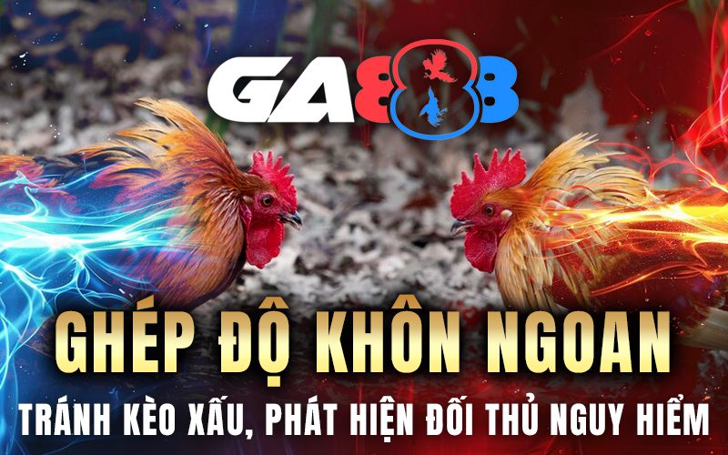 Ghép độ khôn ngoan: Tránh kèo xấu, phát hiện đối thủ nguy hiểm