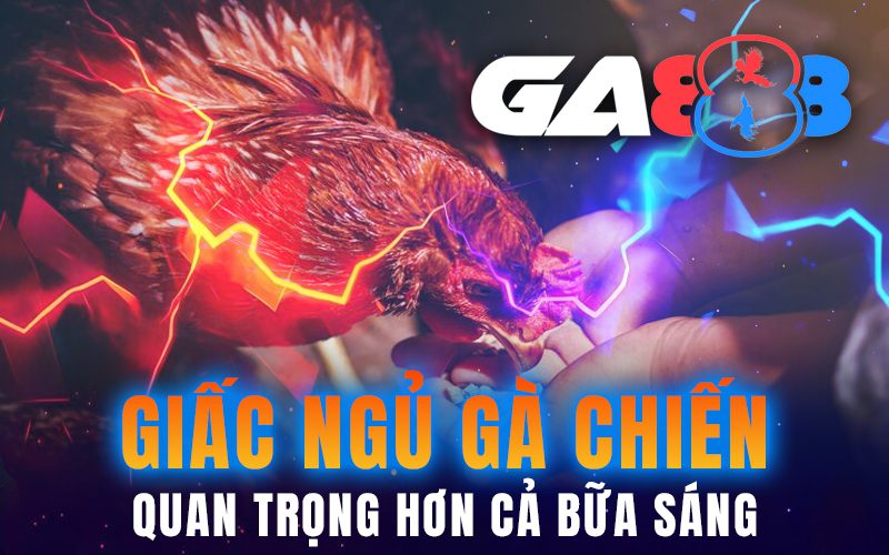 Giấc ngủ gà chiến: Quan trọng hơn cả bữa sáng