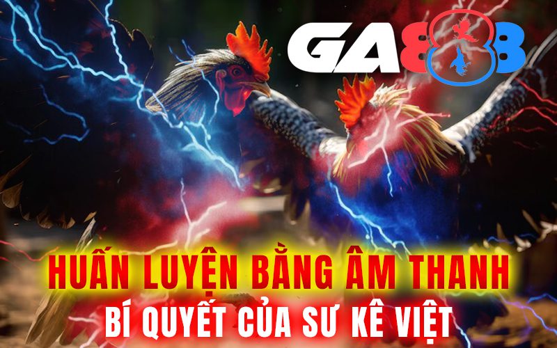 Huấn luyện bằng âm thanh – Bí quyết của sư kê Việt